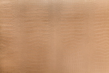 Snake skin