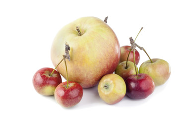 Big and paradise apples isolated on white background