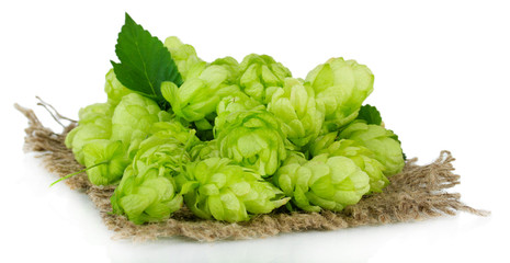 Fresh green hops, isolated on white