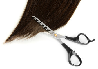 Shiny brown hair with scissors isolated on white
