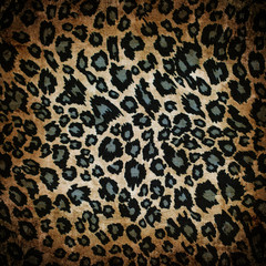 Leopard pattern