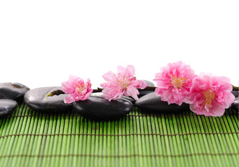 Camellia on black stone on bamboo green mat