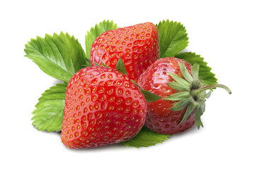 Many strawberry is placed on a white background.