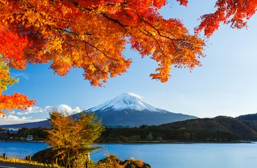 Peel and stick wall murals Fuji Mt. Fuji in autumn
