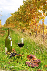 Bottle and wineglass among vineyards in Lavaux region, Switzerla