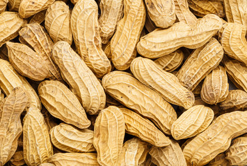 Fototapeta premium Peanut