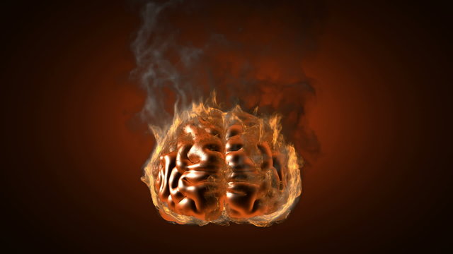 loop human brain in fire. Alpha matted
