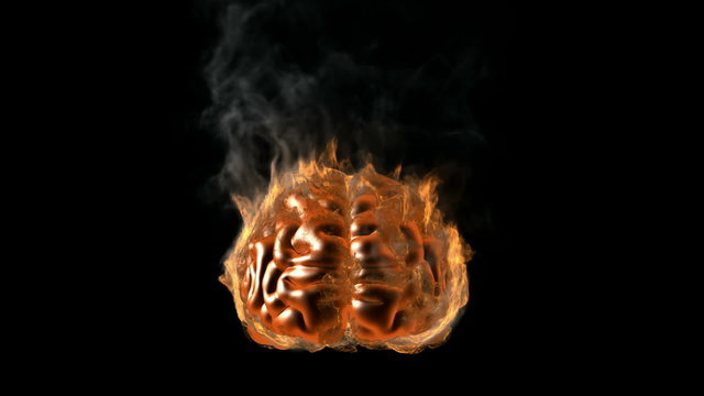 loop human brain in fire. Alpha matted