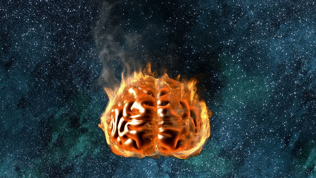 loop human brain in fire. Alpha matted