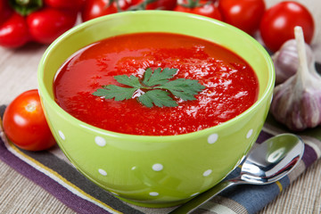 Tasty and healthy tomato soup and vegetables on the table