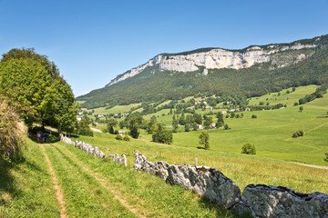 Chemin herbeux dans le Vercors, Drôme, France