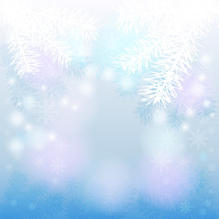 Fototapeta na wymiar Christmas background with fir branches and snowflakes