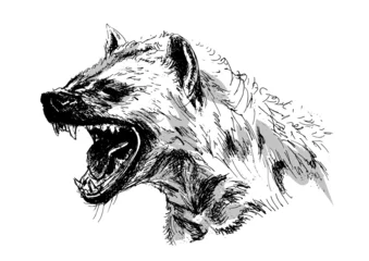 Tuinposter hyena – vector illustration © onot
