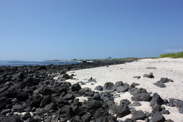 Galapagos Islands, desert beach