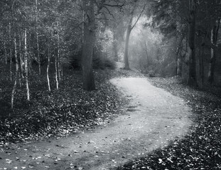 Autumn landscape.