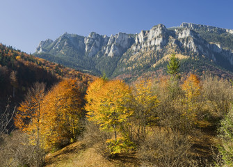 Naklejka premium Mountain landscape with autumn trees