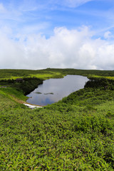 Fototapeta premium 八幡沼