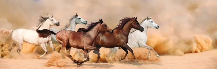 Herd gallops in the sand storm
