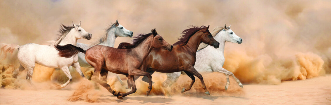 Herd gallops in the sand storm © loya_ya