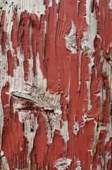 Old red board, texture