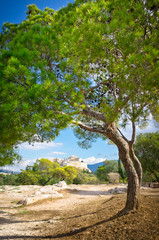 Fototapeta na wymiar Beautiful view of ancient Acropolis, Athens, Greece