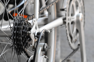 Rear bike cassette on the wheel with chain - obrazy, fototapety, plakaty