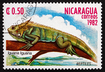 Postage stamp Nicaragua 1982 Green Iguana, Iguana Iguana, Lizard