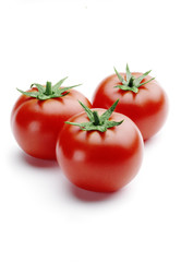 tomatoes isolated