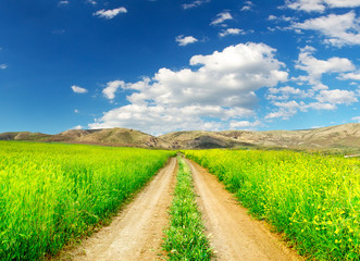 Rural road on the field