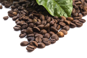 coffee grains and leaves