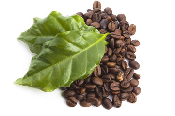 coffee grains and leaves