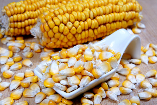 granos de maiz