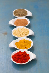 Obraz na płótnie Canvas line of plates with spices