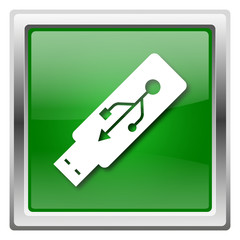 Usb flash drive icon