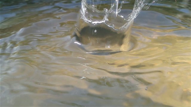 Drops falling into water surface
