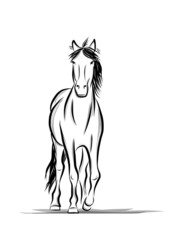 Horse sketch for your design. Symbol of 2014 year