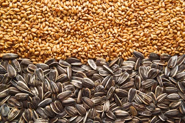 Tuinposter Sunflower seed and wheat grains © Bits and Splits