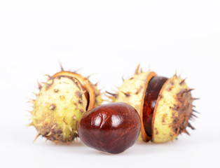 Chestnuts on white background