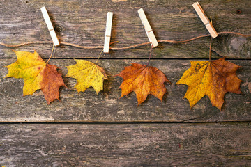 Jesienna abstrakcja na drewnianym tle