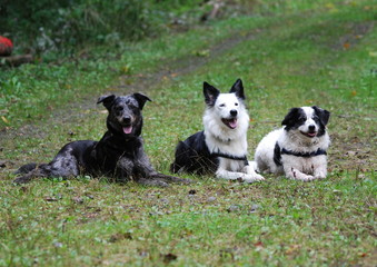 Gruppe
