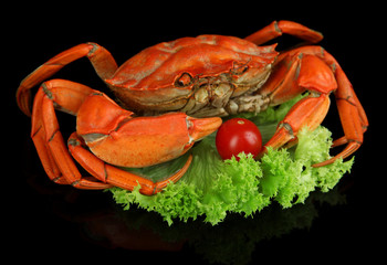 Boiled crabs isolated on black