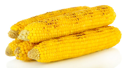 Delicious golden grilled corn isolated on white
