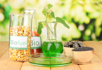 Conceptual photo of bio fuel.  On bright background
