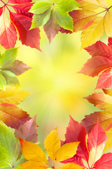 Autumn leaves frame
