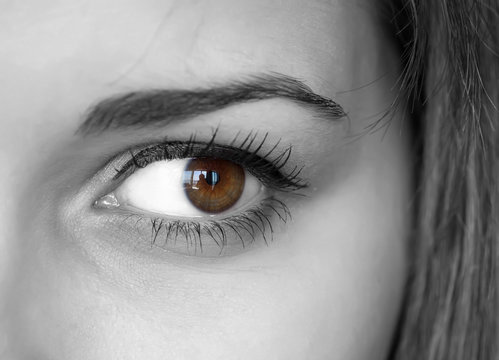 Close up of a brown eyes with reflection.