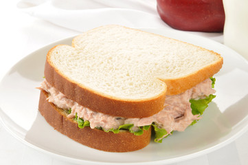 Tuna sandwich with an apple and milk