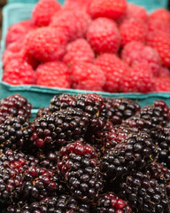 Baskets of Marionberries and Red Raspberries