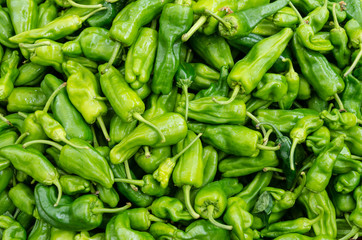 Padron peppers in a bulk display