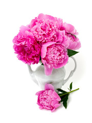 Bunch of peonies in vase isolated on white
