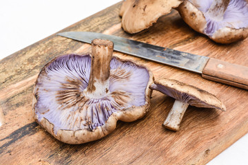Purple mushrooms on the wooden floor